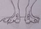 sketch_raptor_feet