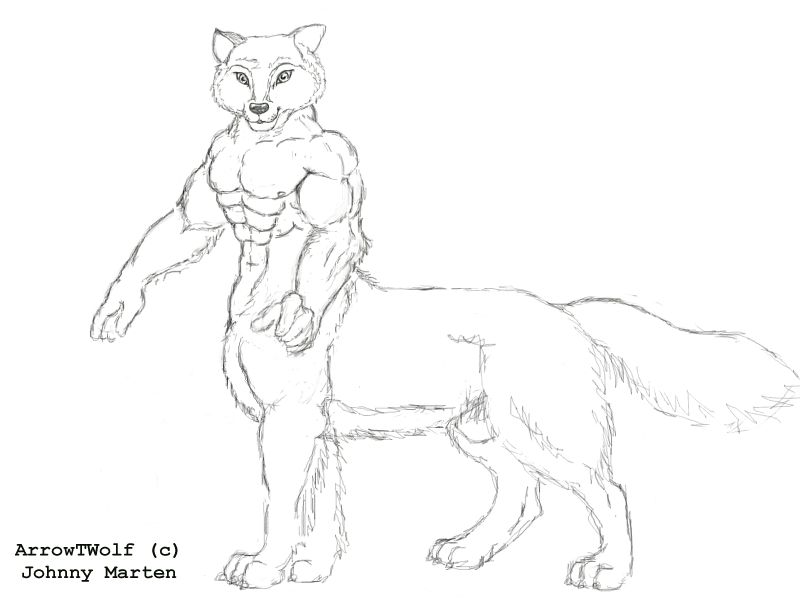 ArrowTWolf.jpg