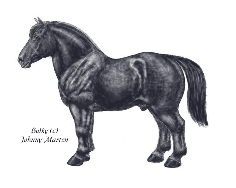 Bulky.jpg