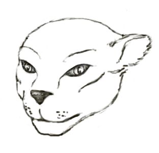 Leopard.jpg