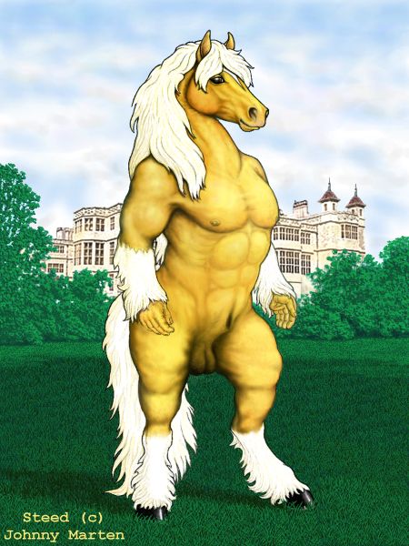 Steed2.jpg
