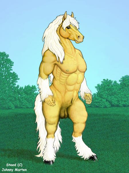 steed.jpg
