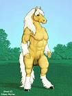 steed