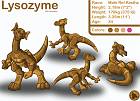 Character Layout - Lysozyme