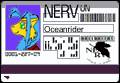 Nerv Pass Oceanrider 