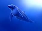 pika-dolphinswallowsairbubble01
