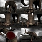 Elefanten_Folter