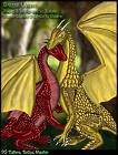 Dragon_Lovers