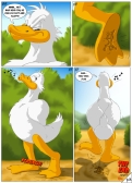 DuckdPg3