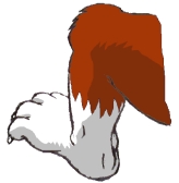 RockyFootSketch