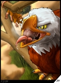 SkyraGravityPg1